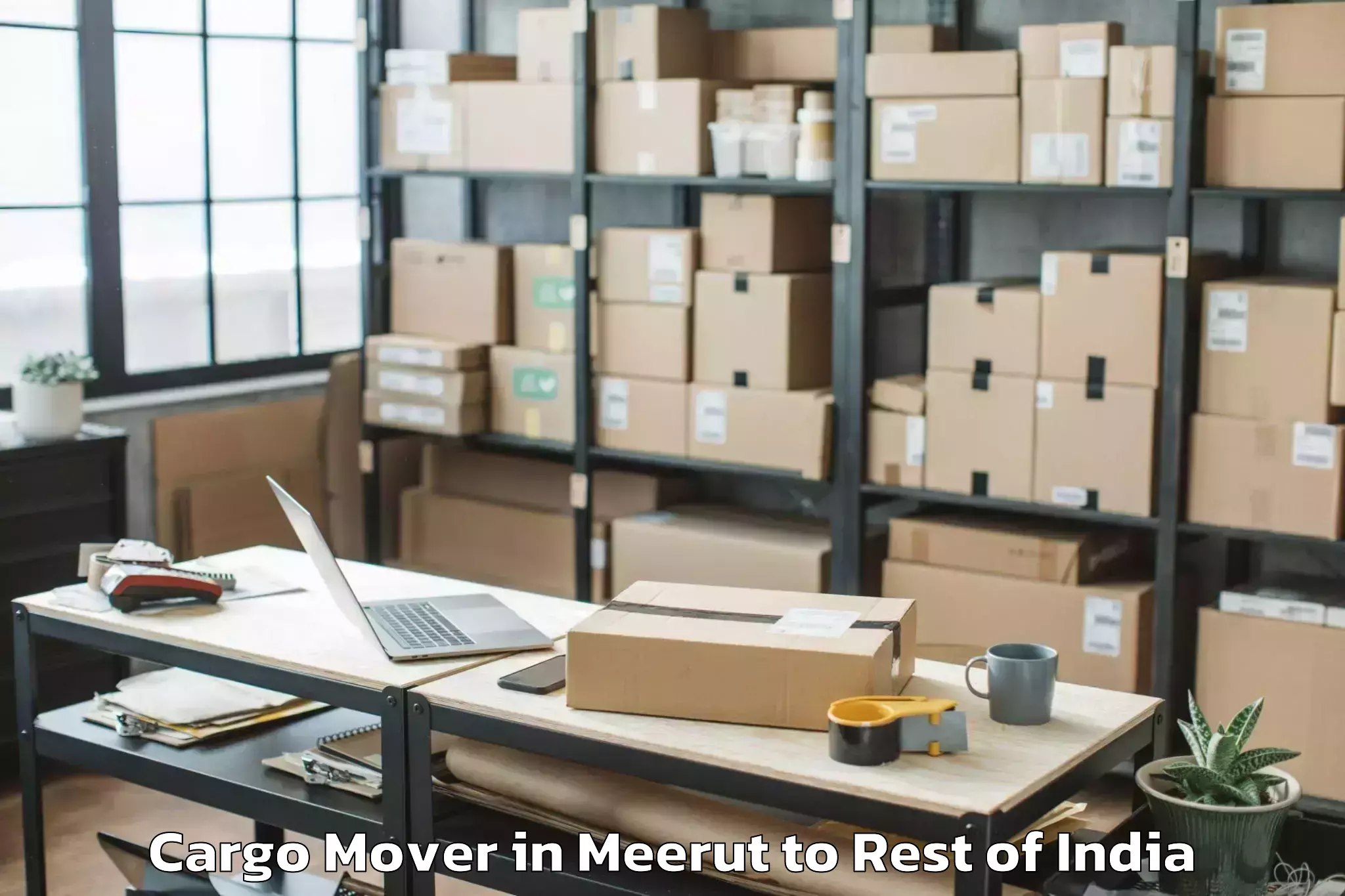 Top Meerut to Jakhanian Cargo Mover Available